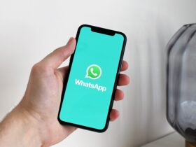 Setting up WhatsApp Backup